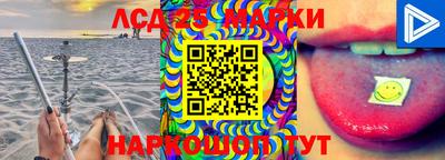 стафф Будённовск