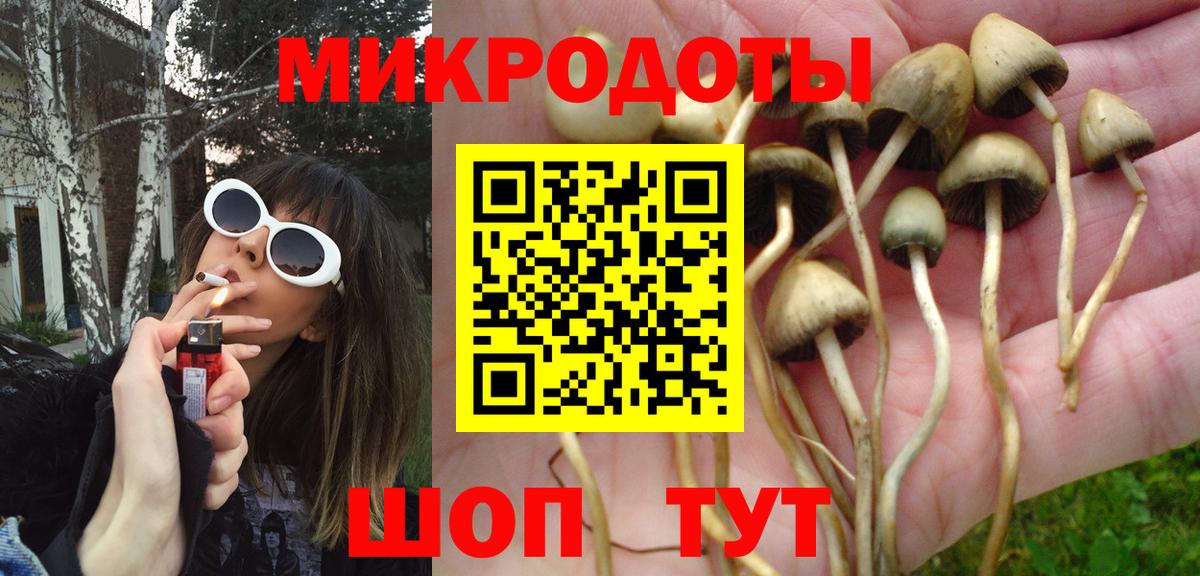 Чусовой  Галлюциногенные грибы прущие грибы  Вход с VPN 